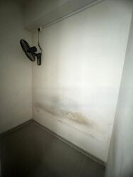 Hundred Trees (D5), Condominium #555033371
